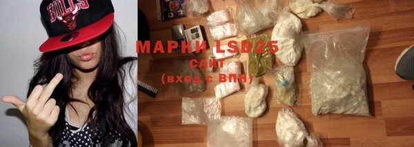 прущие грибы Алзамай