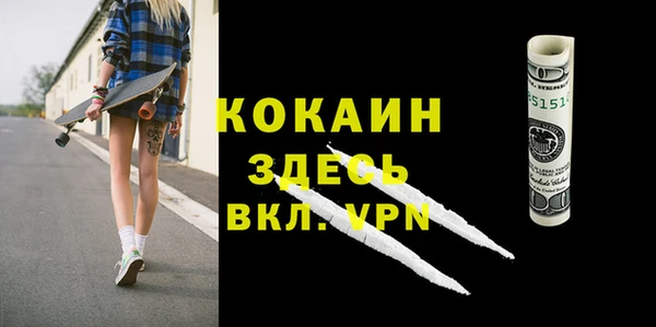 прущие грибы Алзамай