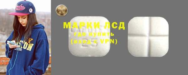 прущие грибы Алзамай