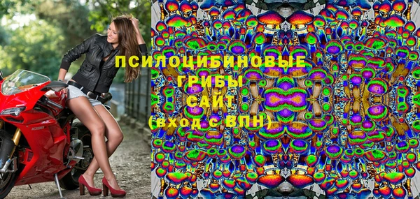 молекула духа Алексин