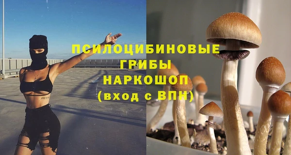 молекула духа Алексин