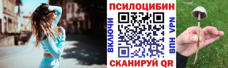 Галлюциногенные грибы мицелий  Лабинск 