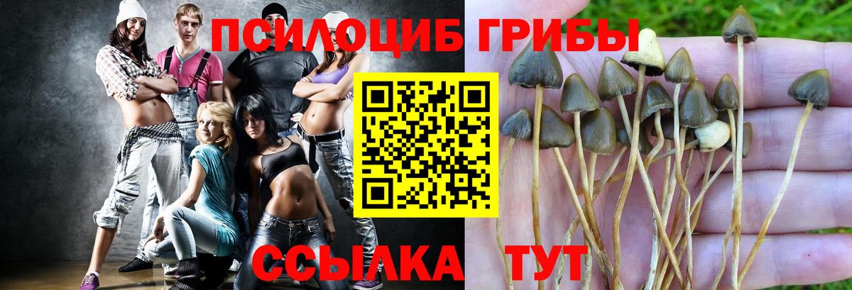Галлюциногенные грибы прущие грибы Лабинск