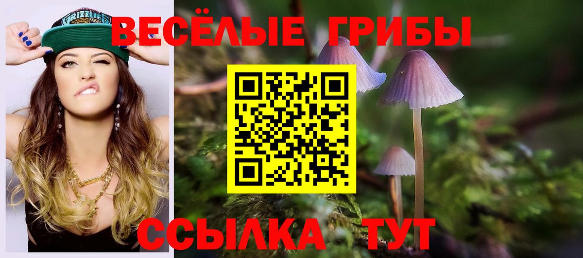 Псилоцибиновые грибы MAGIC MUSHROOMS  Вход с VPN  Галлюциногенные грибы GOLDEN TEACHER  Лабинск 